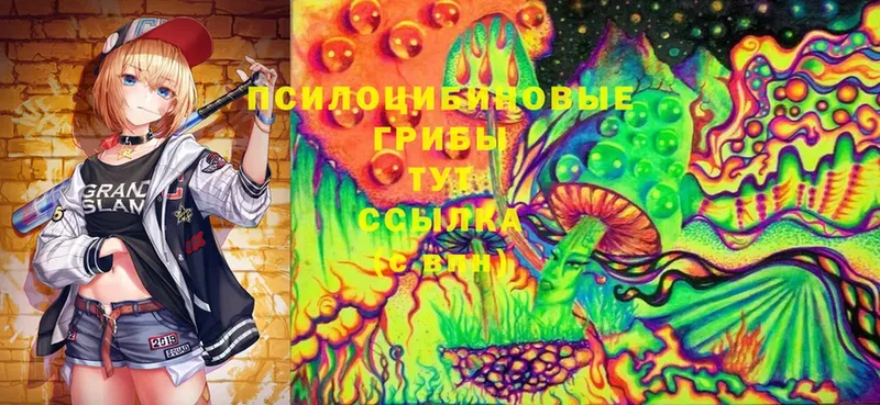 где можно купить   Татарск  Галлюциногенные грибы Cubensis 